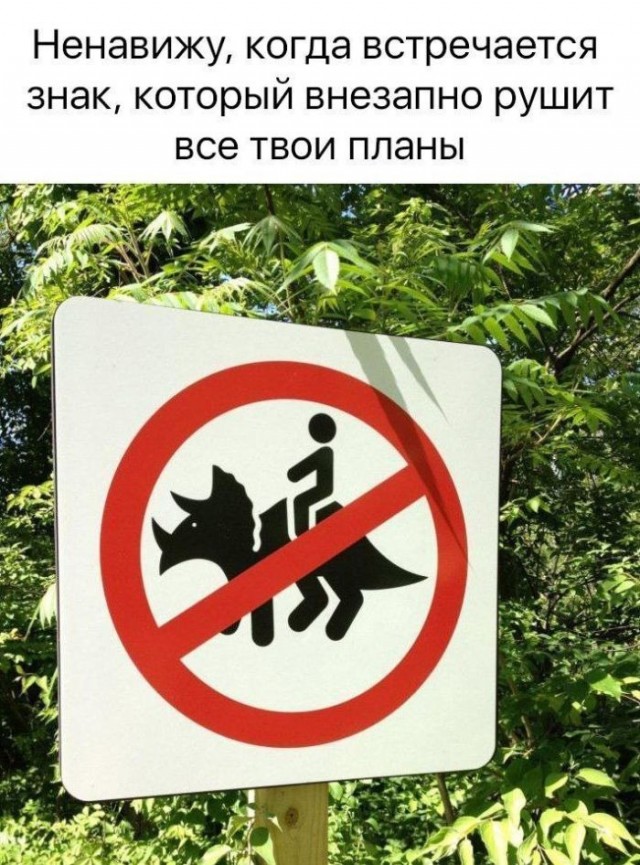 Картинки новые и старые, баяны и аккордеоны