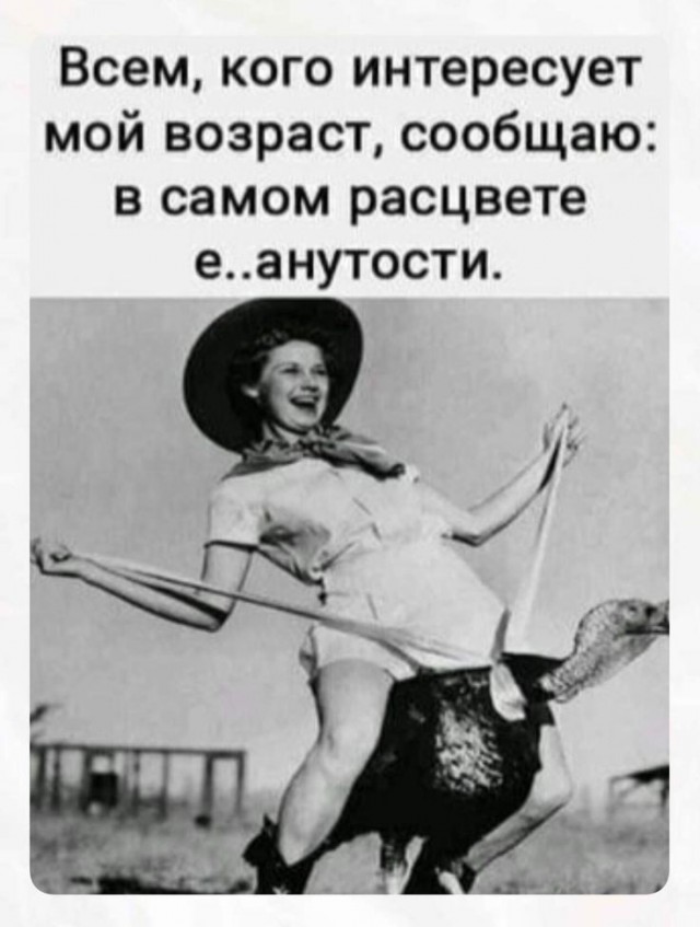 Так себе картинки 14.08.26