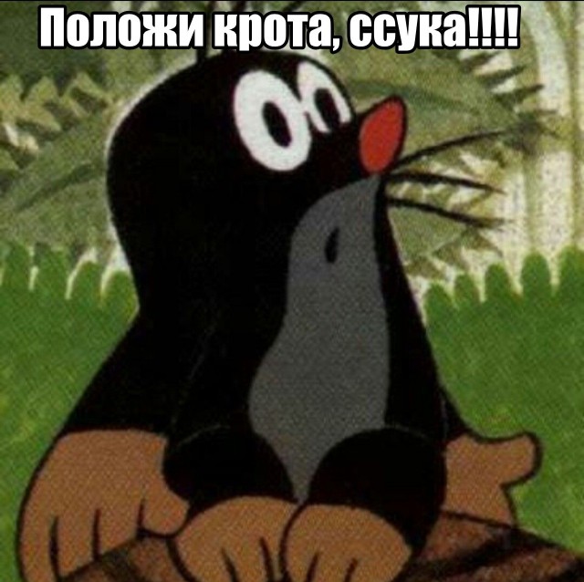 На старт, внимание