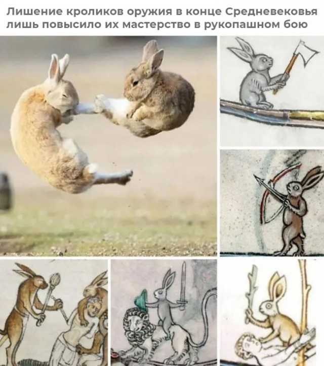 Страдающее средневековье к среде