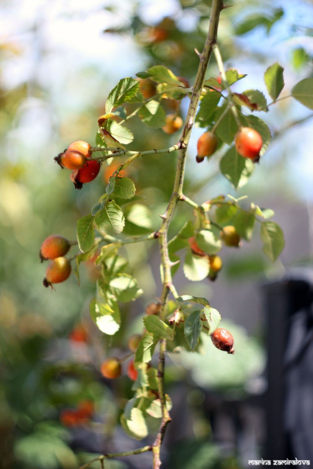 Крым: Судак и окрестности