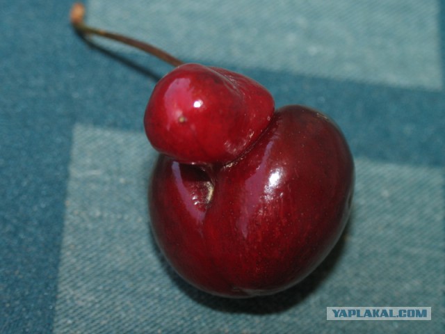 Решил выложить свои приколы