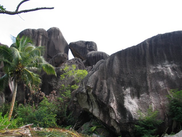 Как я съездил на Сейшелы