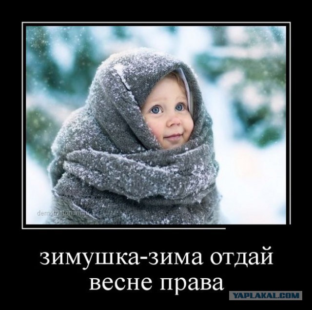 Подборка прикольных фото на начало мая