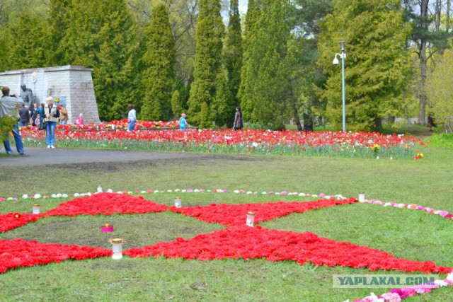 День Победы в Таллине