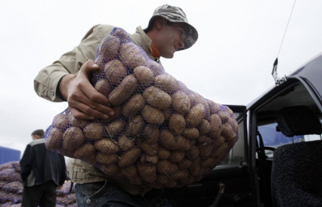 Россельхознадзор ограничил ввоз картофеля с Украин