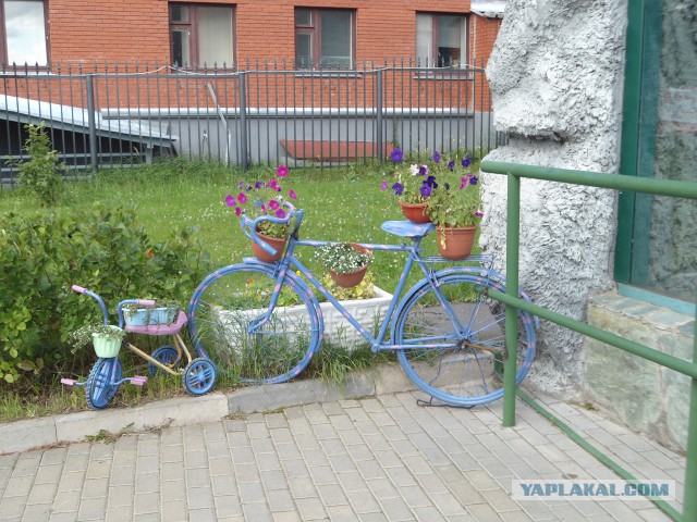Ижевский зоопарк
