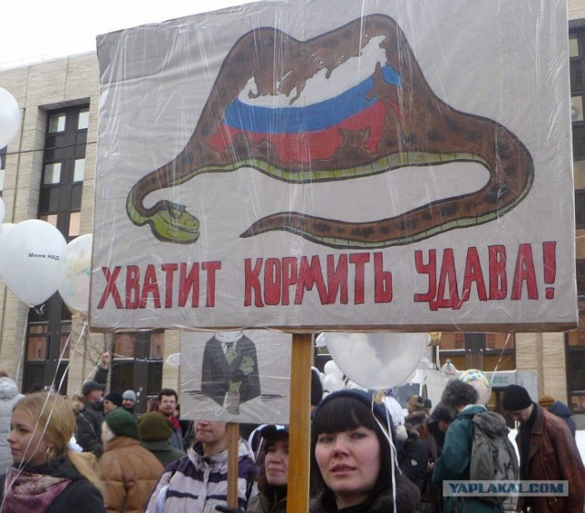 Лучшие плакаты с митинга 24.12