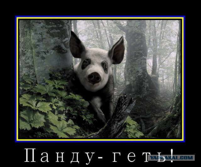 Параш - уходи!