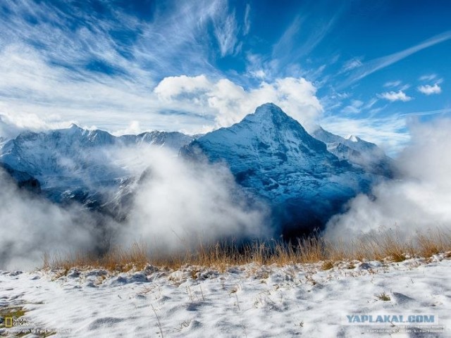 Лучшие фотографии от National Geographic за ноябрь