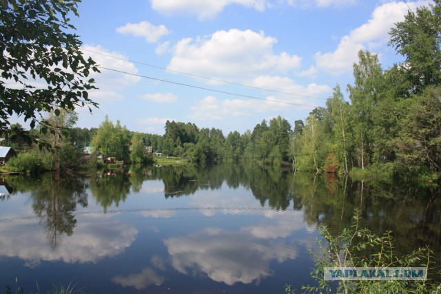 Плот.