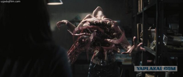 Поездка в центральную Украину