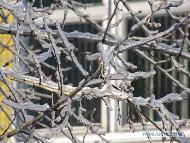 40 фактов о климате России, которые вы не знали