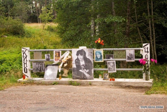 Виктор Цой, годовщина 15 августа.