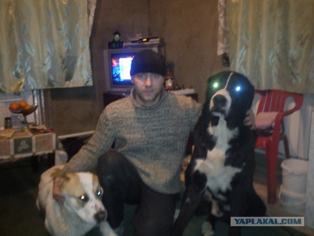 Мои собачки. К четвергу.