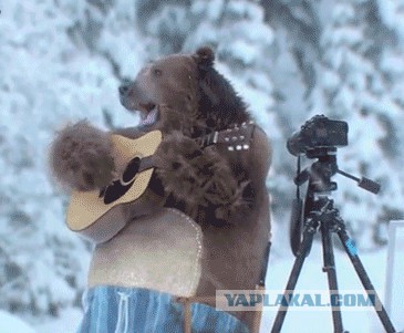 Животные и фотоаппарат