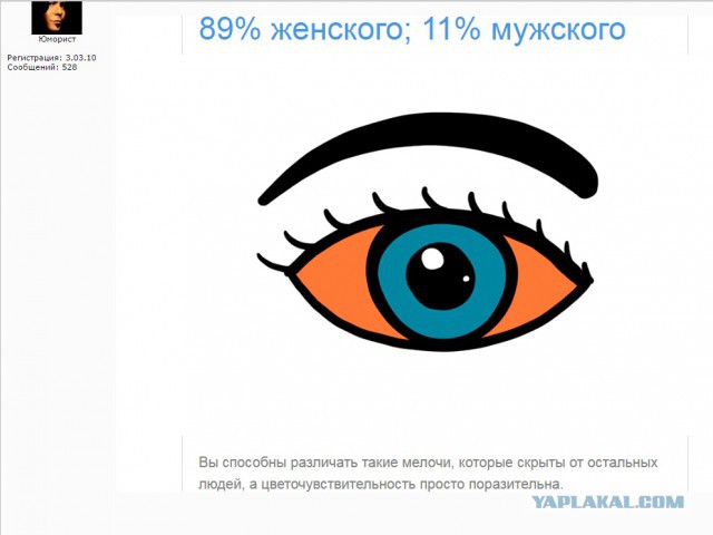 Тест: Вы воспринимаете этот мир глазами мужчины или женщины?