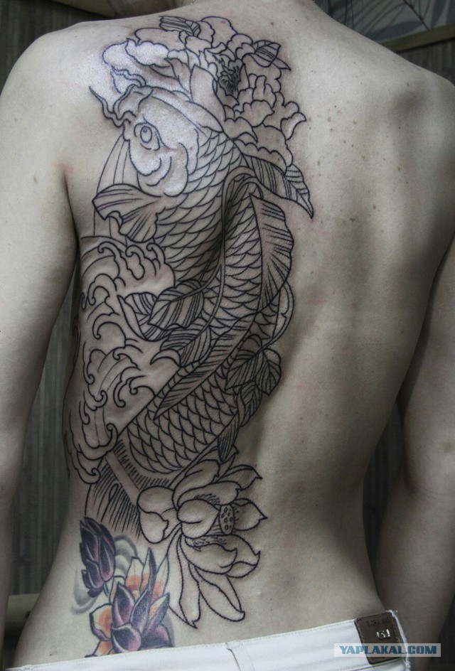 Кот и макраме ждут меня