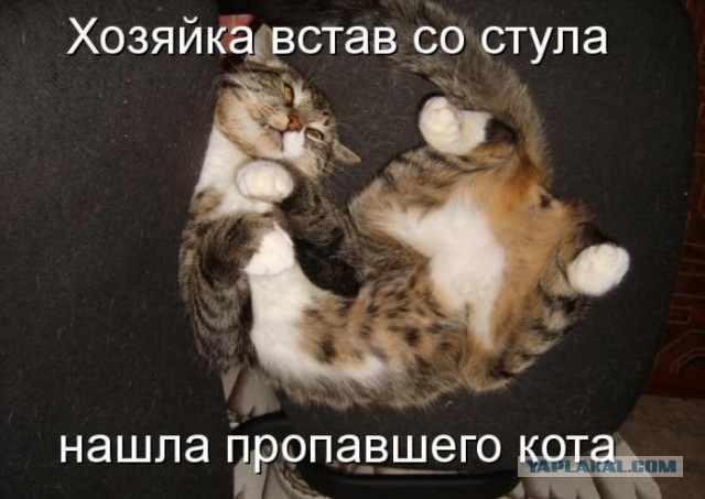 Всякое разное из интернета