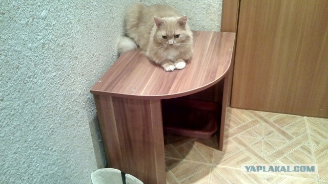 Шкаф купе в прихожую