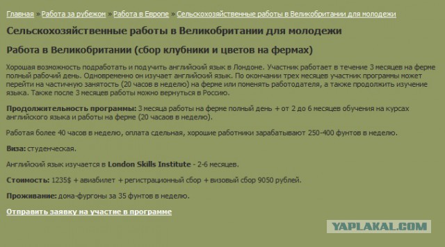Как я уехал в Англию на заработки