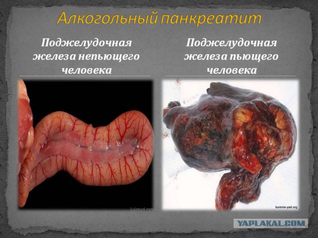 Как я занялся домашним пивоварением