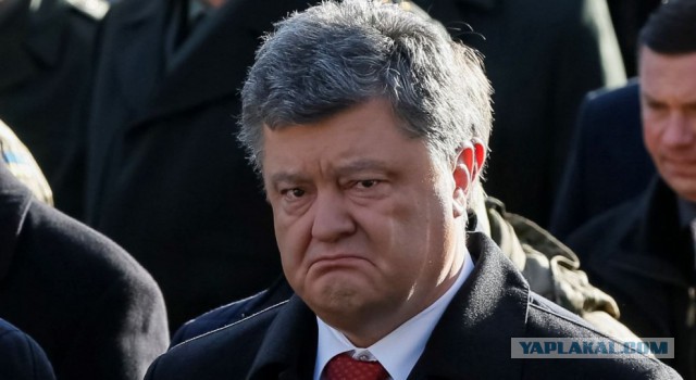 Путин одобрил идею ввода миротворцев на Донбасс и поручил МИД внести резолюцию в СБ ООН
