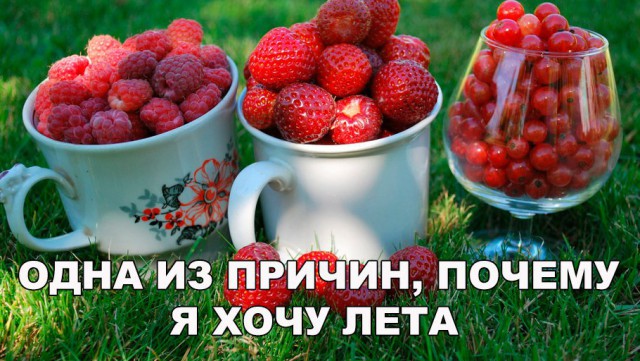 Прикольные картинки обо всём