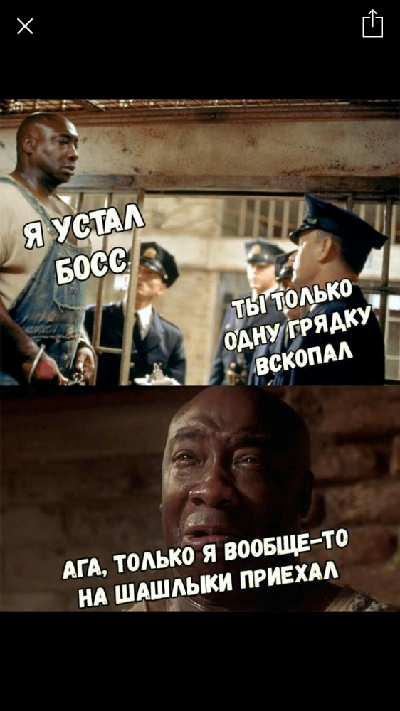Почему российская дача убивает