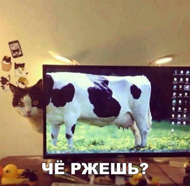 Прикольные картинки абавсём