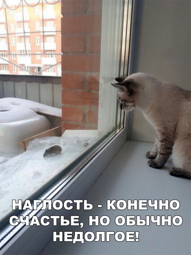 Немного милоты