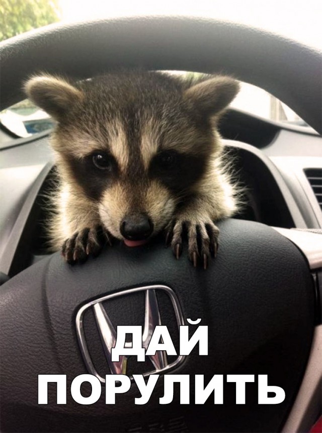 Нестандартный юмор
