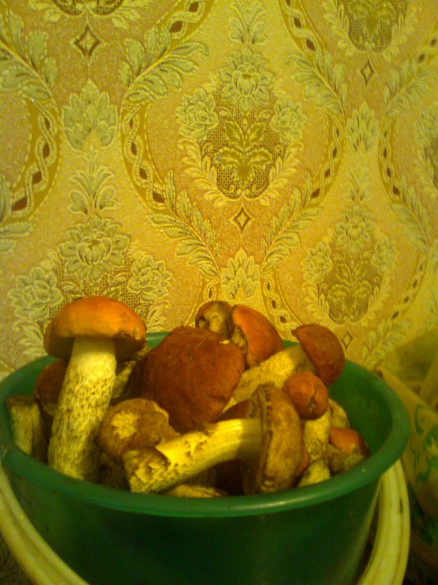 Антигрибные практики и упражнения
