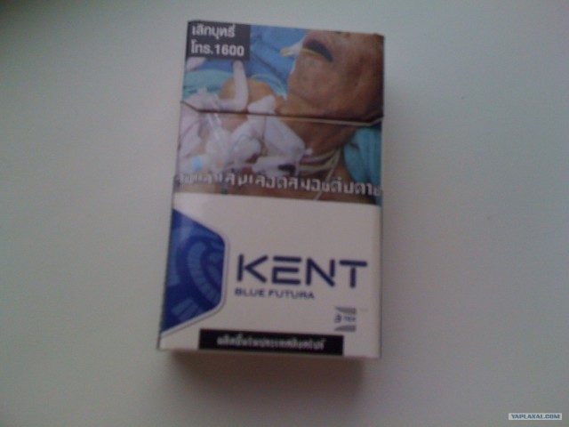 Сигареты «KENT» - у нас и за рубежом.