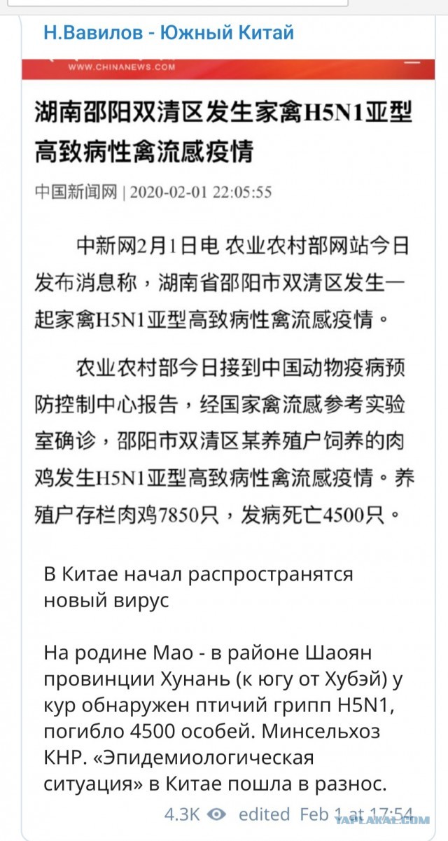 Про Китай и коронавирус