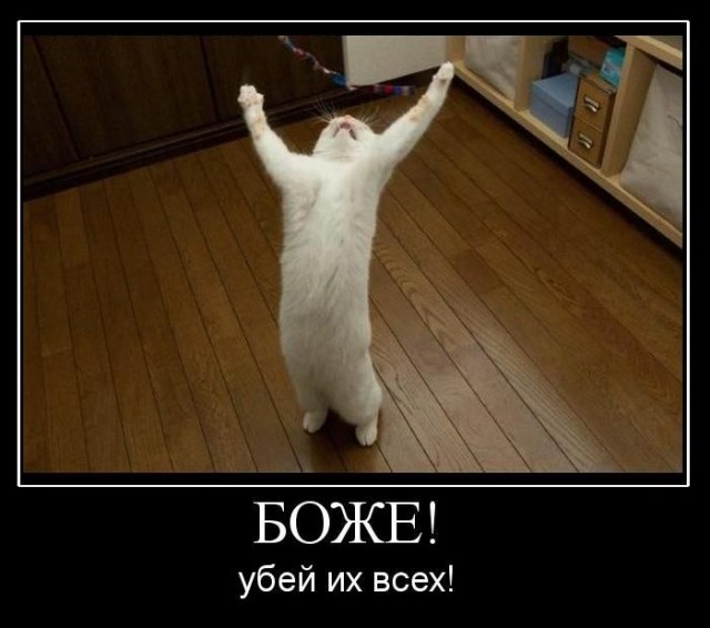 Автомобили с шипами заставят ездить медленнее на 20 км/ч