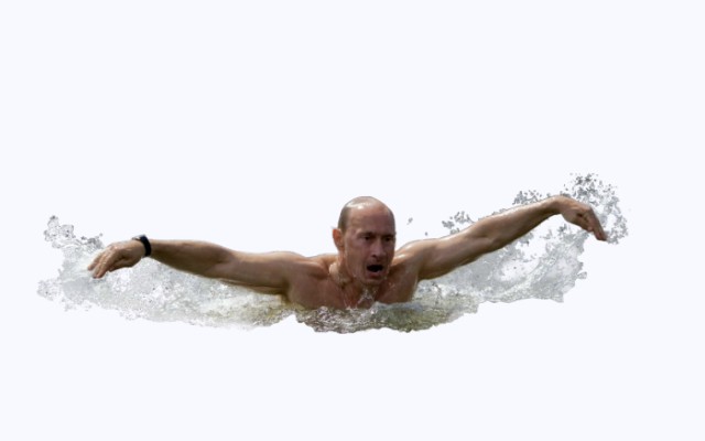 Голый морж