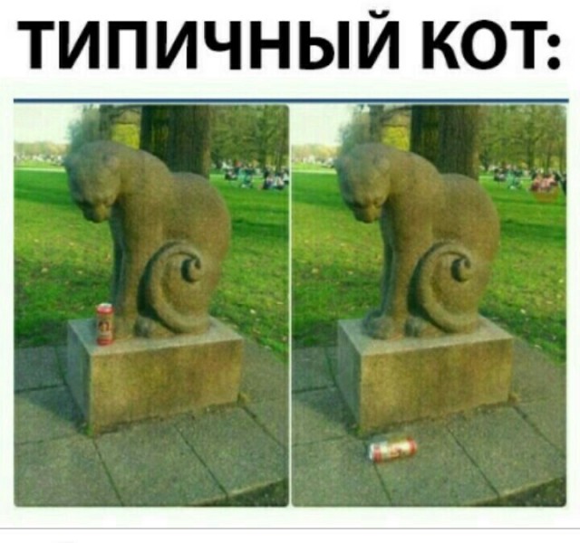 Почему в средние века не любили котиков