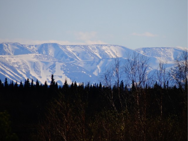 Где-то на Урале лес заменяет людям небо