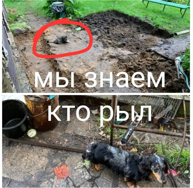 Укладка плитки на приусадебном участке