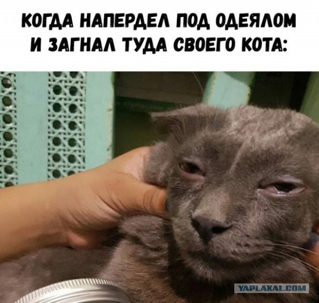 Картинки разные 15.01.21