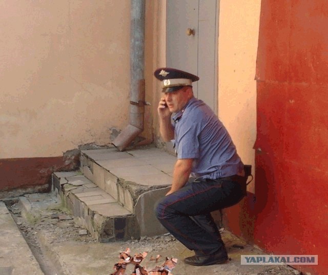 Фотожаба: Неупоротый.