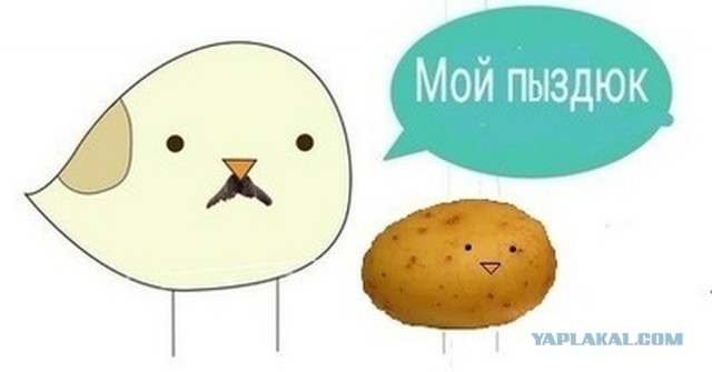 Как российские санкции изменили чешский рынок мяса