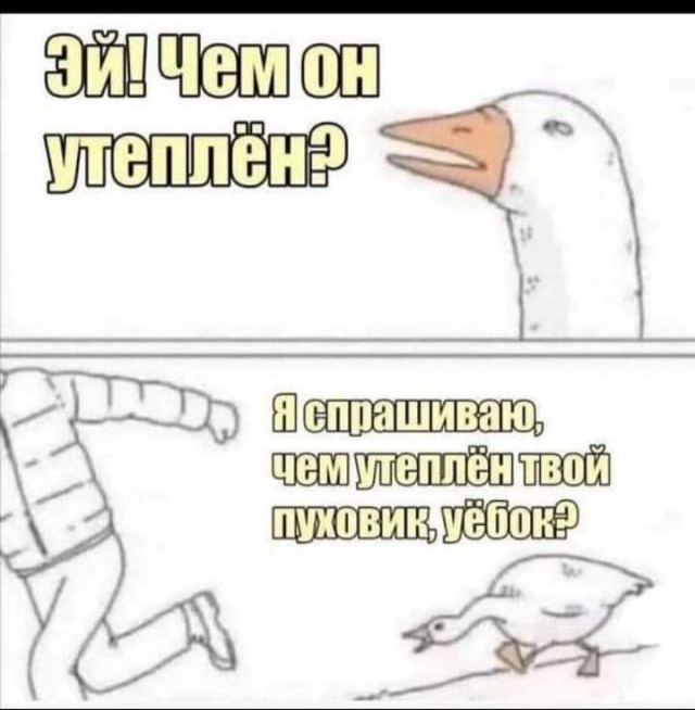 Картинки и мемы для настроения 009