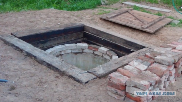 Психанул. Дачный сортир «king size»