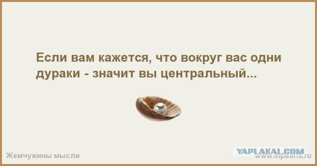 В Посольстве Чехии в России останется всего пять дипломатов