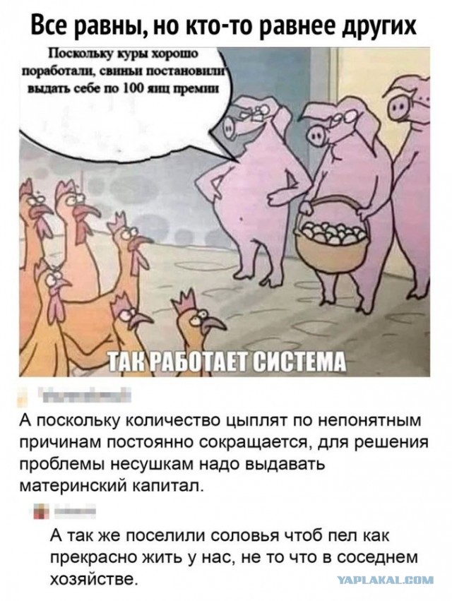 Картинки и мемы для настроения 28.04.2021
