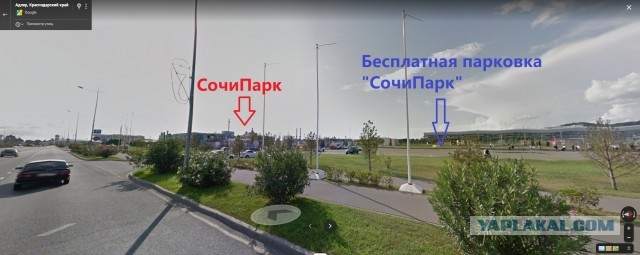 Моя поездка в Сочи. Июнь 2021