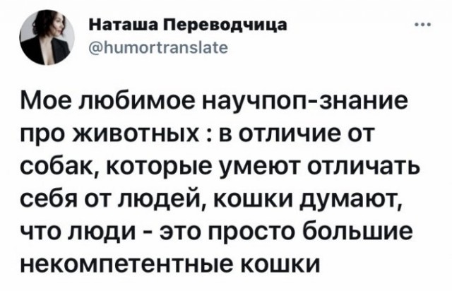 Картинки и мемы для настроения 026