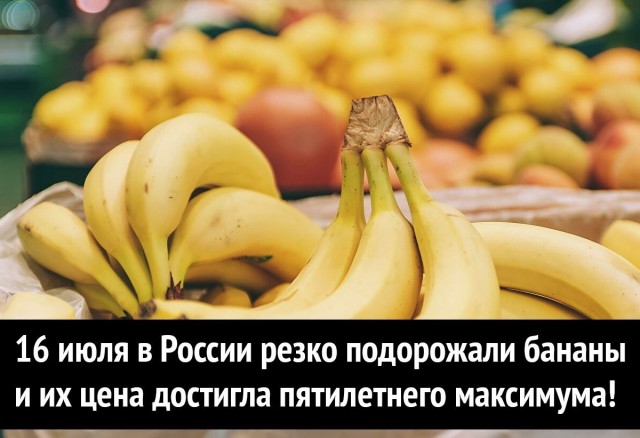 Кретинизмы из сети 17.07.21